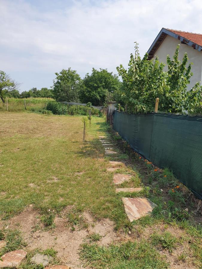 Malavi Guest House Krasen! Comfort&Clean! Екстер'єр фото